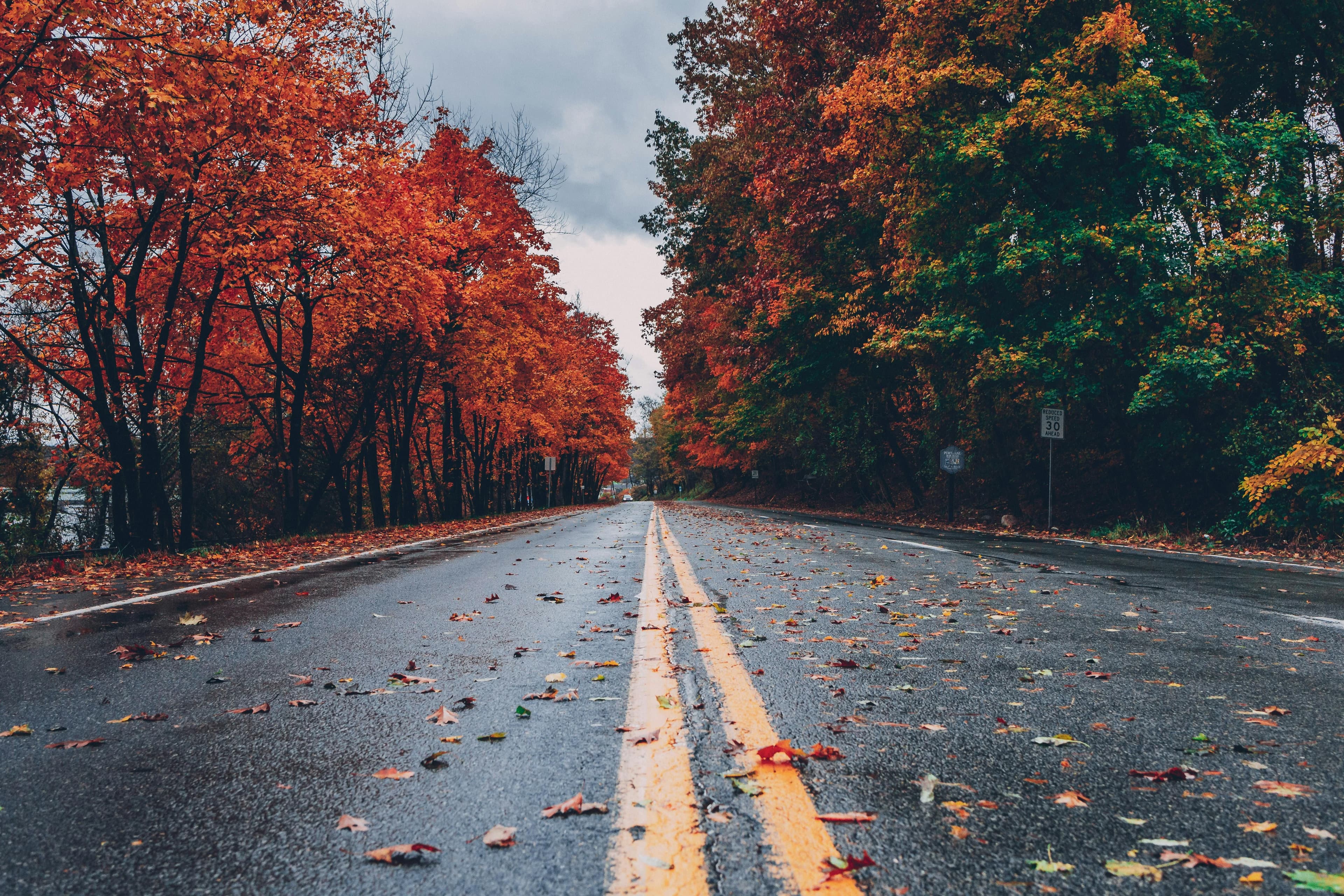 Wet two-lane road with double yellow lines, scattered autumn leaves, red-orange and green trees lining the road under a cloudy sky.